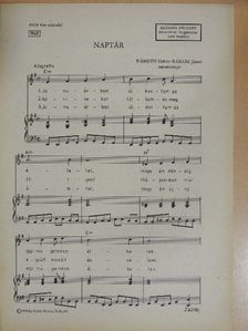 Németh Gábor - Naptár [antikvár]