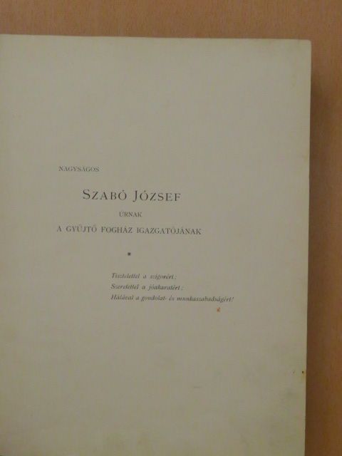 Ifj. Ábrányi Kornél - Nemzeti ideál [antikvár]