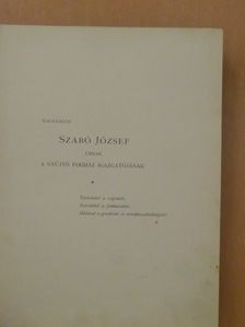 Ifj. Ábrányi Kornél - Nemzeti ideál [antikvár]