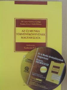 Dr. Kozma Anna - Az új Munka Törvénykönyvének magyarázata - CD-vel [antikvár]