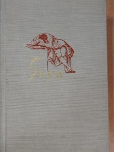 Lion Feuchtwanger - Goya [antikvár]