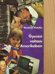Vecsenyi Katalin - Gyesen voltam Amerikában [antikvár]