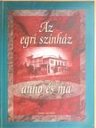 Demeter Zsuzsa - Az egri színház anno és ma [antikvár]
