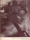 Jahn, Johannes - Michelangelo [antikvár]