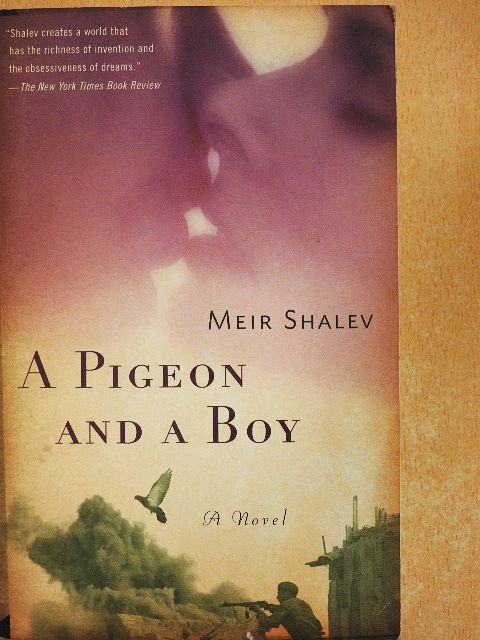 Meir Shalev - A Pigeon and a Boy [antikvár]