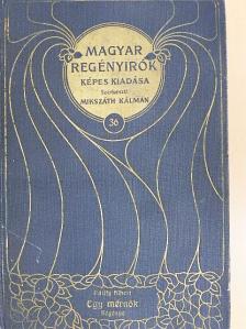 Pálffy Albert - Egy mérnök regénye [antikvár]