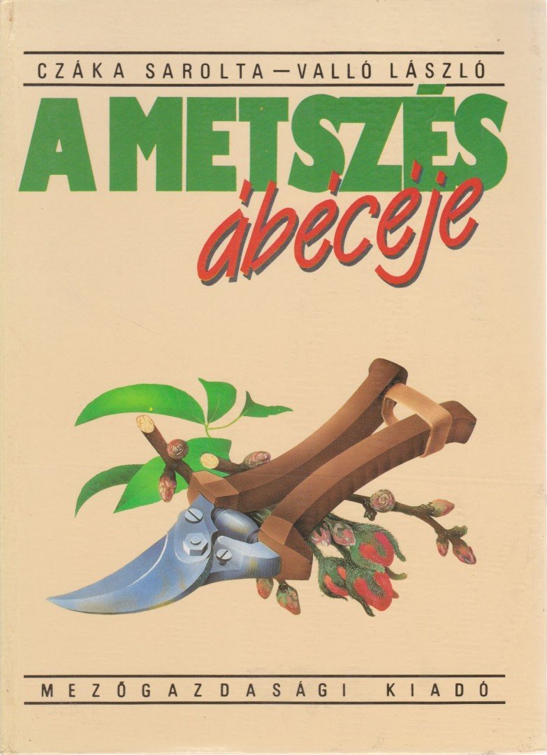 Valló László, Czáka Sarolta - A metszés ábécéje [antikvár]