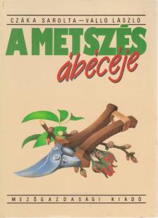 Valló László, Czáka Sarolta - A metszés ábécéje [antikvár]