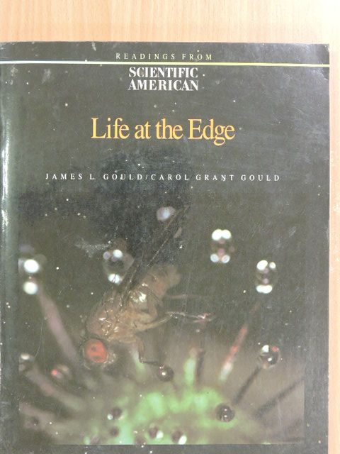 J. William Schopf - Life at the Edge [antikvár]
