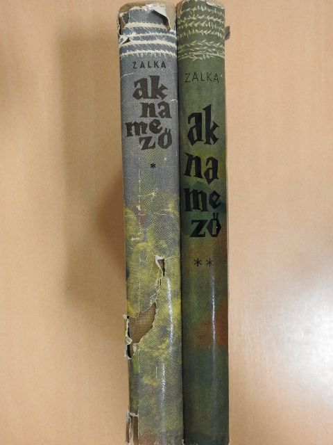 Zalka Miklós - Aknamező I-II. (dedikált példány) [antikvár]