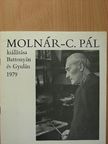 Dr. Szíj Rezső - Molnár-C. Pál kiállítása Battonyán és Gyulán [antikvár]