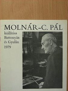 Dr. Szíj Rezső - Molnár-C. Pál kiállítása Battonyán és Gyulán [antikvár]