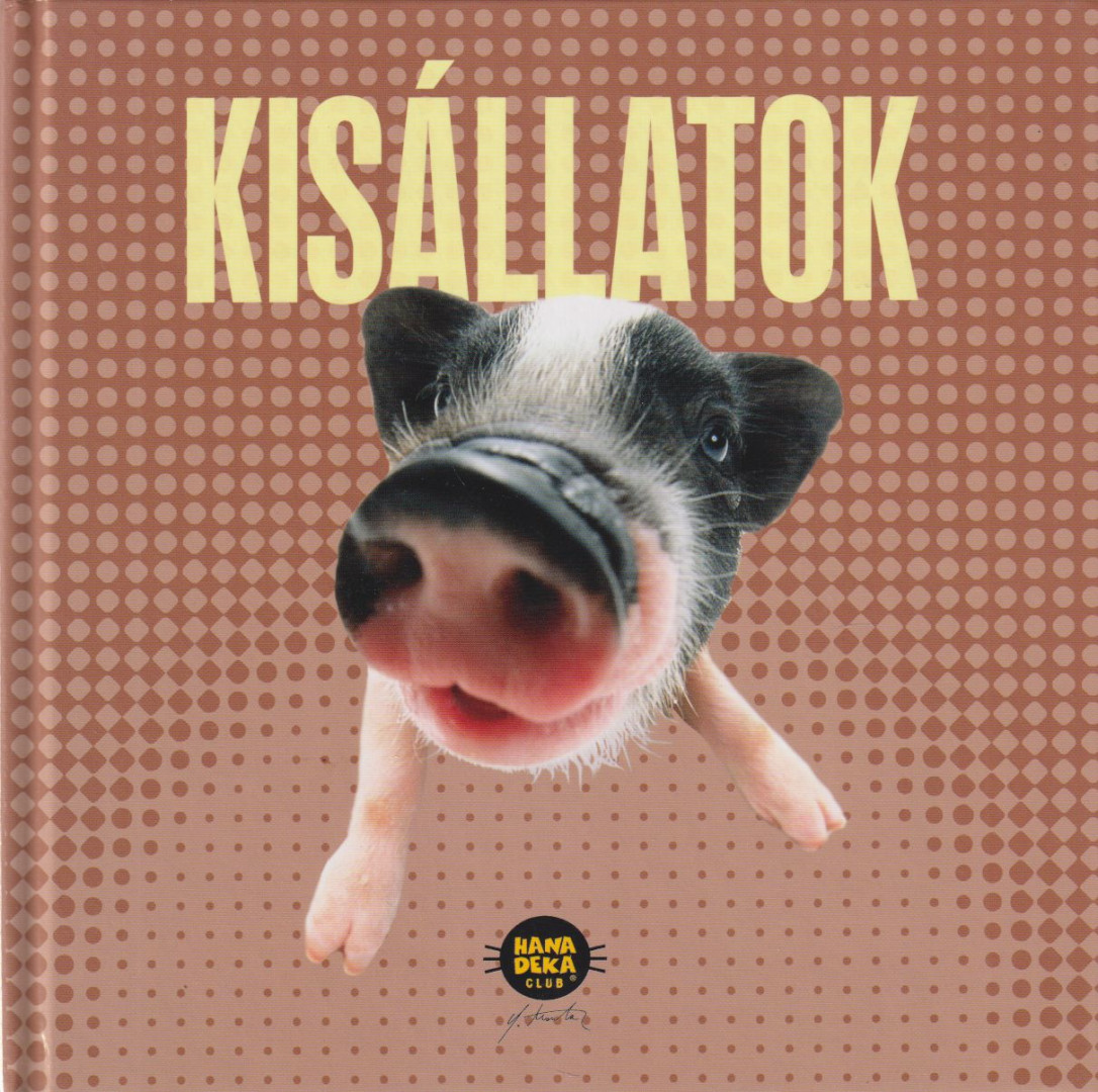 Yoneo Morita - Kisállatok [antikvár]