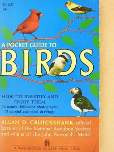 Allan D. Cruickshank - A Pocket Guide to Birds [antikvár]