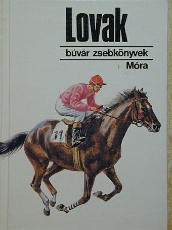 Szidnainé Dr. Csete Ágnes - Lovak [antikvár]