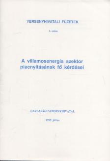 HARGITA ÁRPÁD - A villamosenergia szektor piacnyitásának fő kérdései [antikvár]