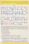 Marion McCartney, Antonia van der Meer, CNM - The MIDWIFE's Pregnancy and Childbirth BOOk [antikvár]