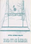 Antal György Bálint - Zord itt az éjszaka [antikvár]