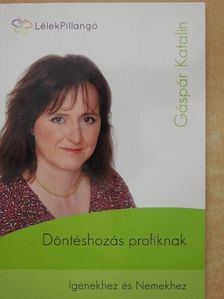 Gáspár Katalin - Döntéshozás profiknak [antikvár]