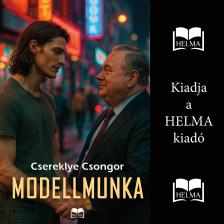 Csereklye Csongor - Modellmunka [eHangoskönyv]