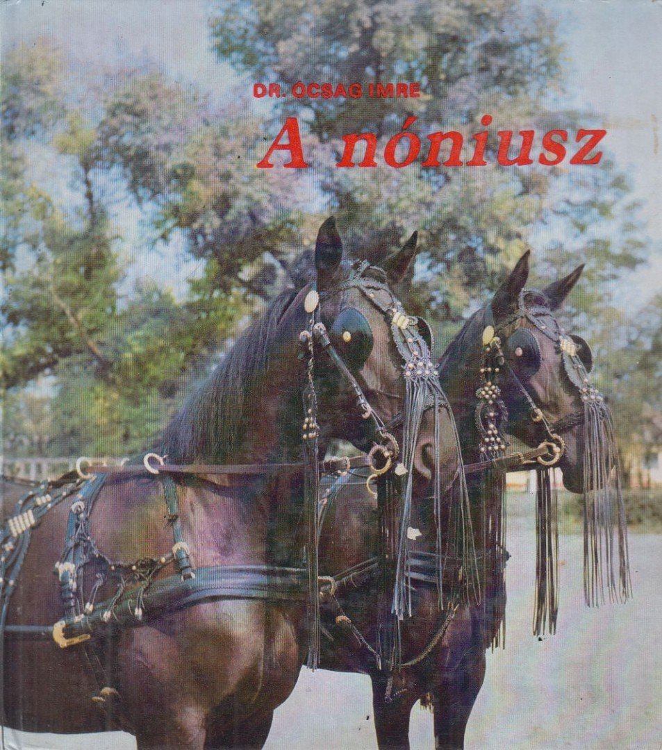 Ócsag Imre - A nóniusz [antikvár]