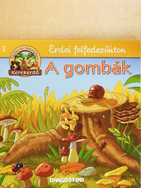 Feryal Kanbay - A gombák [antikvár]
