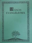 János evangéliuma [antikvár]