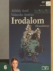 Alföldy Jenő - Irodalom 6.  [antikvár]