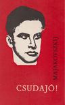 Majakovszkij, Vlagyimir - Csudajó! [antikvár]