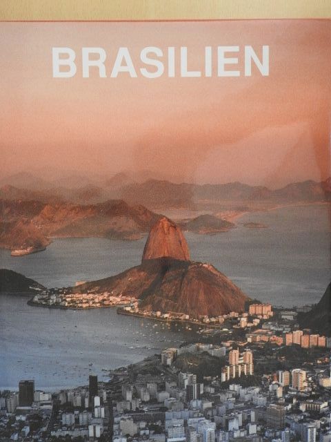Vojislav Pekic - Brasilien [antikvár]