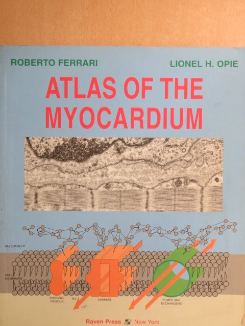 Lionel H. Opie - Atlas of the Myocardium [antikvár]