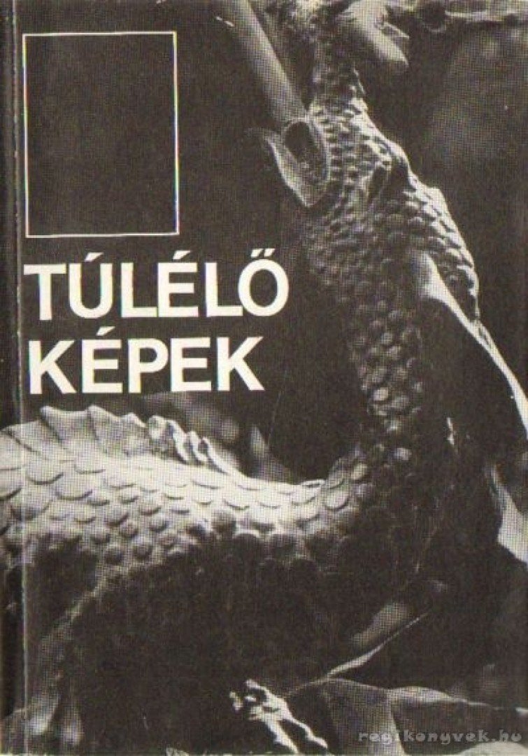Kántor László - Túlélő képek [antikvár]