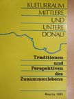 Alexandra Comsa - Kulturraum Mittlere und Untere Donau [antikvár]