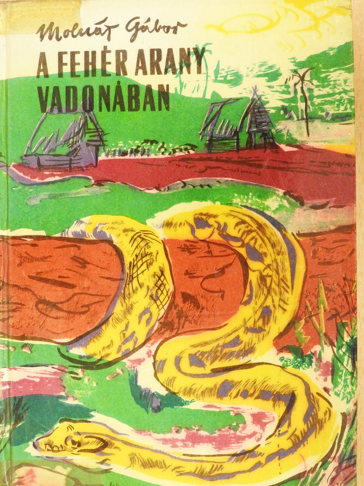 Molnár Gábor - A fehér arany vadonában [antikvár]