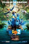 SALDANHA - RIO 2