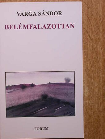 Varga Sándor - Belémfalazottan [antikvár]