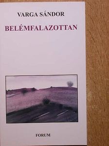 Varga Sándor - Belémfalazottan [antikvár]