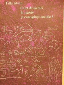 Filla István - Caiet de lucrari la istorie si cunostinte sociale 5 [antikvár]