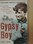 Mikey Walsh - Gypsy Boy [antikvár]
