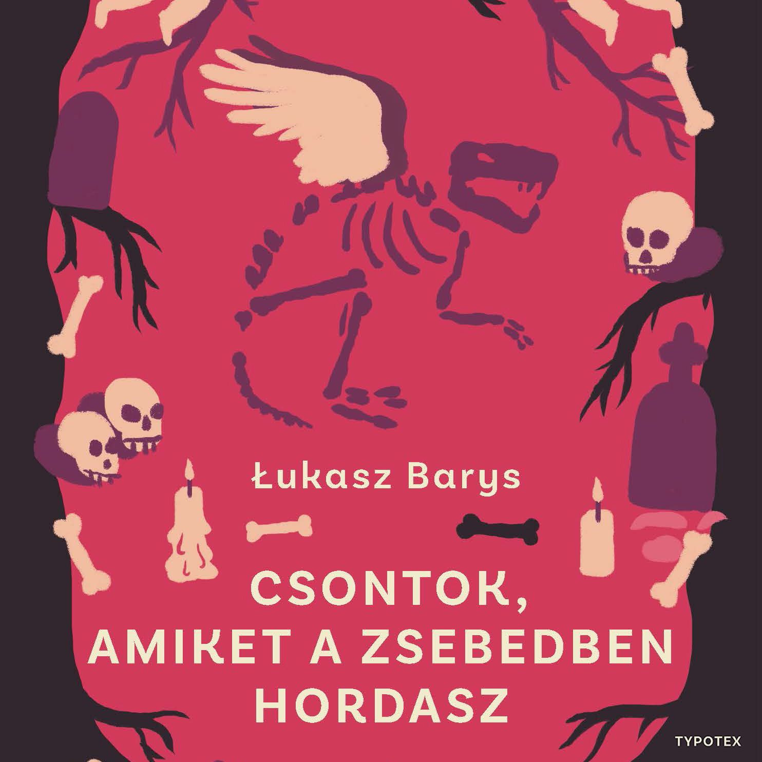 £ukasz Barys - Csontok, amiket a zsebedben hordasz [eHangoskönyv]