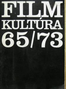 B. Nagy László - Filmkultúra 1965-1973. [antikvár]