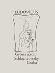 Györei Zsolt-Schlachtovszky Csaba - Ludovicus [eKönyv: epub, mobi]