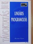 Csernyák László - Lineáris programozás [antikvár]