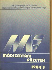 Dr. Boros János - Módszertani füzetek 1984/3. [antikvár]