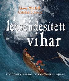 Alison Mitchell - A lecsendesített vihar