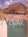 Bátyi Zoltán - Novák István városai (dedikált példány) [antikvár]