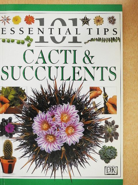 Terry Hewitt - Cacti & Succulents [antikvár]