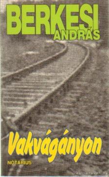 BERKESI ANDRÁS - Vakvágányon [antikvár]