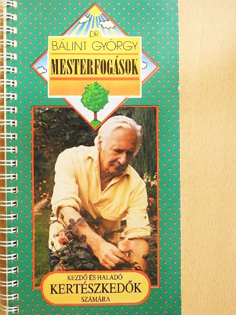 Dr. Bálint György - Mesterfogások [antikvár]