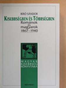 Bíró Sándor - Kisebbségben és többségben [antikvár]